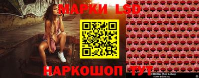 spice Кандалакша
