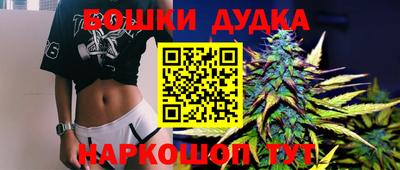 spice Кандалакша