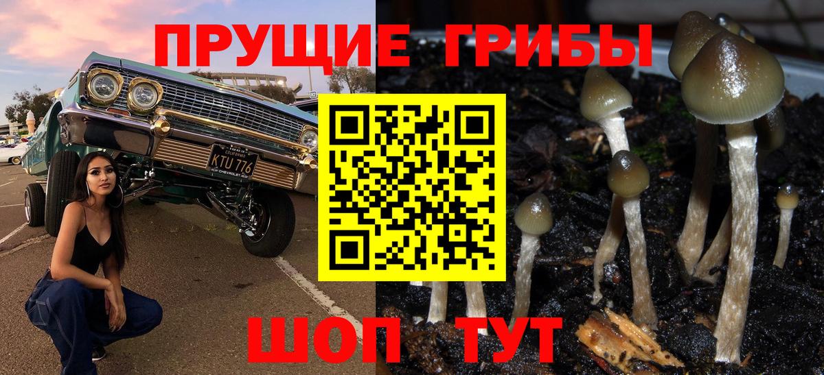 Псилоцибиновые грибы мухоморы Избербаш