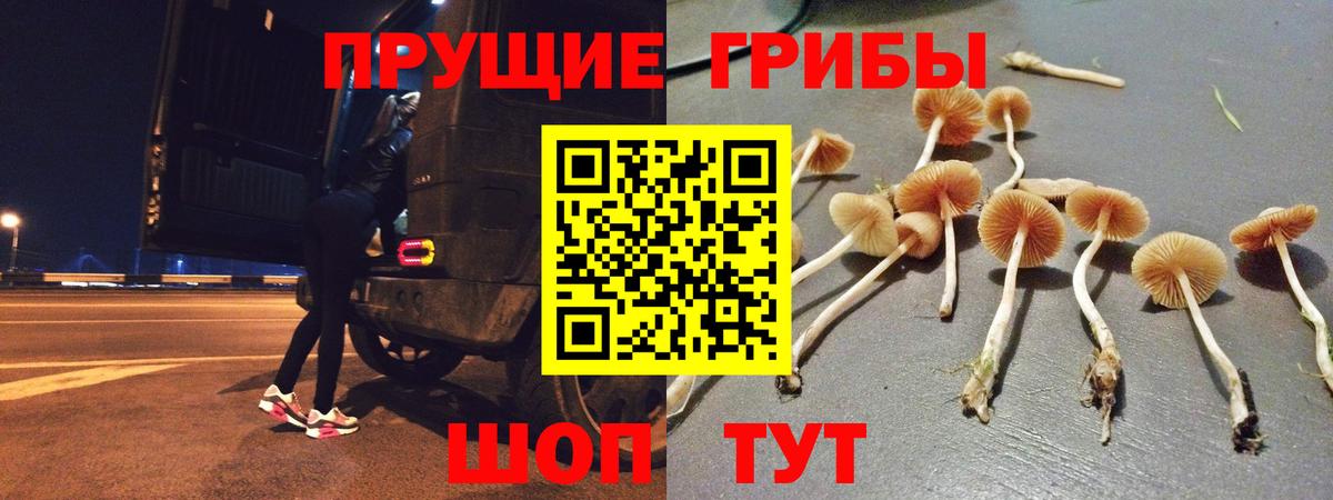 Галлюциногенные грибы ЛСД  Вход с VPN  Избербаш 